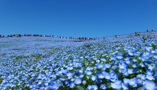 ◆急性リンパ性白血病・クローン病◆移植後【退院半年】